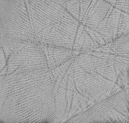 RELAST: Hautstruktur als Grundlage für die Quantifizierung