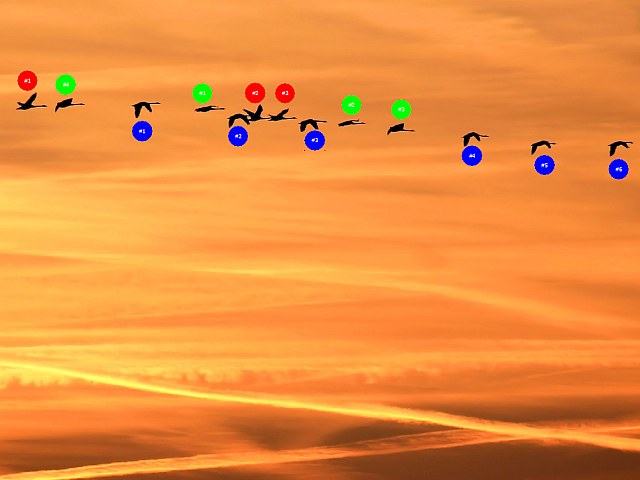 Object Counter: Vogelschwarm