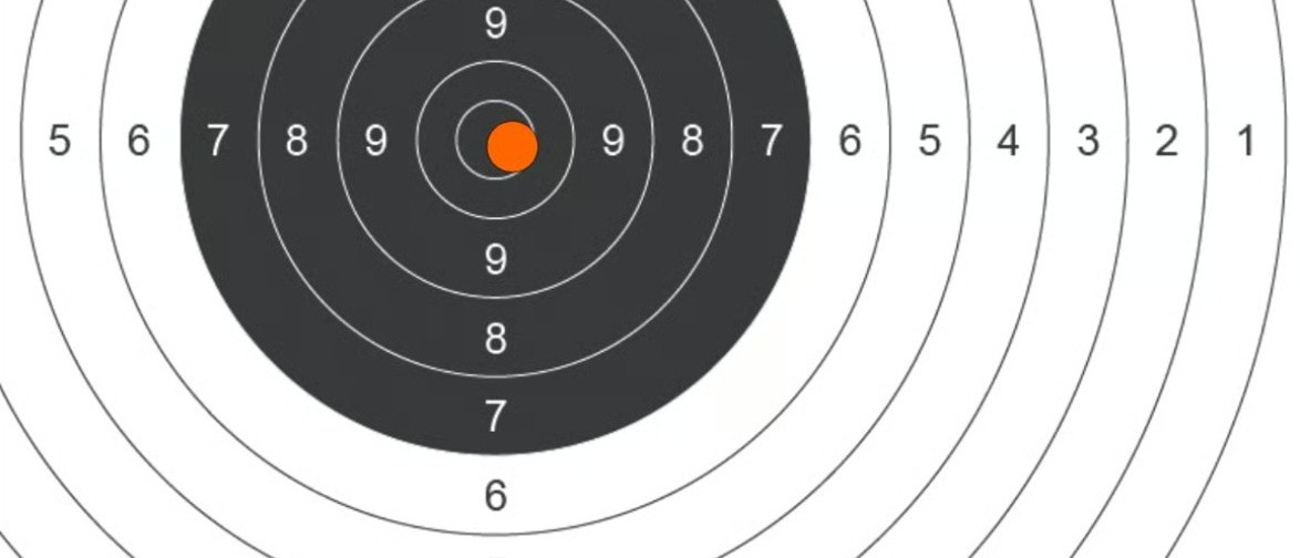 TARGETMASDR Schiesstrainingsanlage mit elektronischer Treffererkennung von Dat-inf